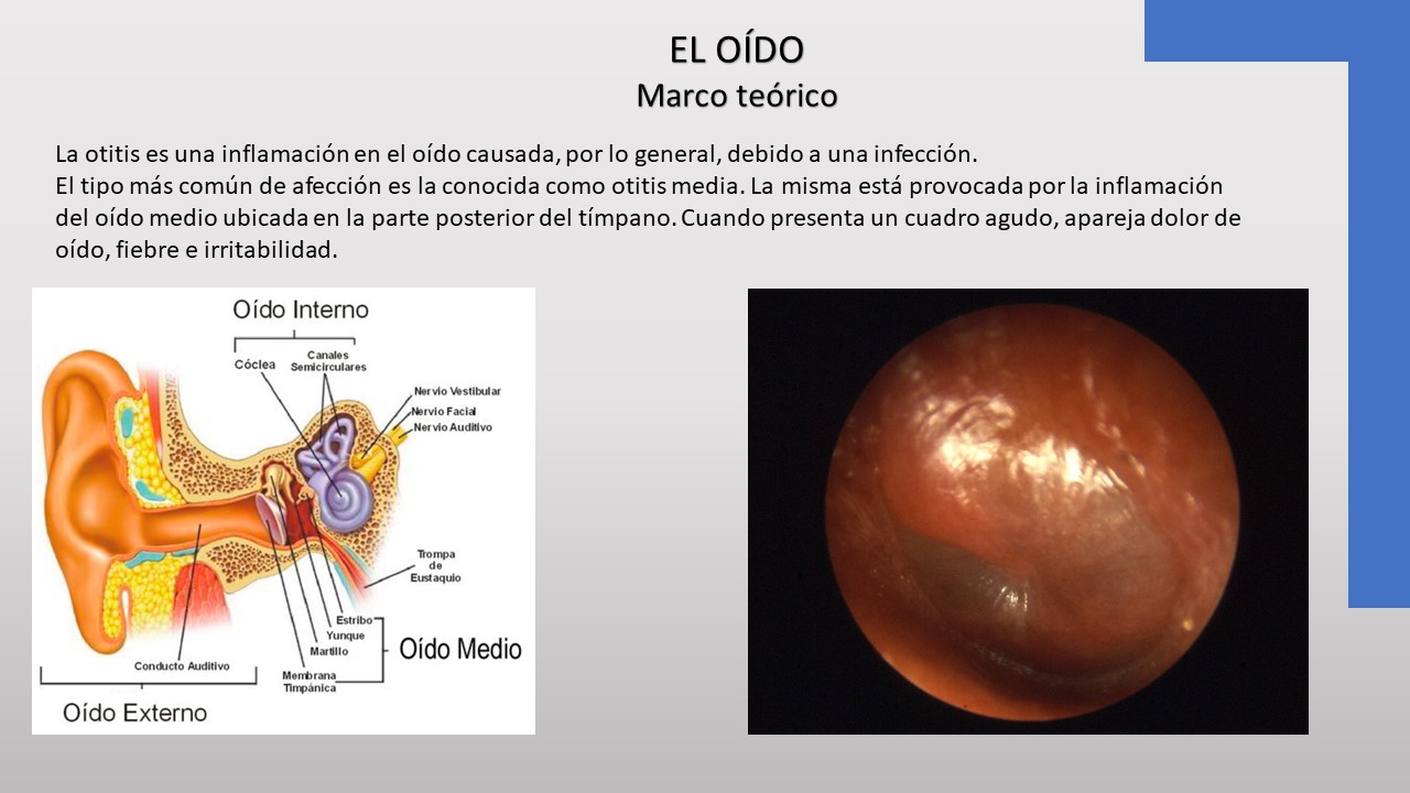 MÓDULO II