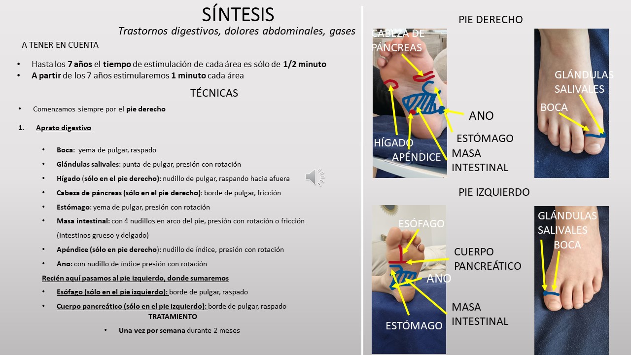 MÓDULO V terminado